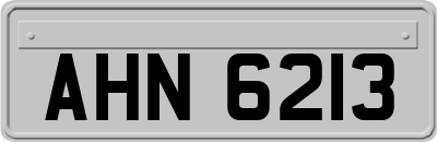 AHN6213