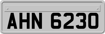 AHN6230