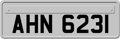 AHN6231