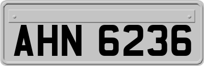 AHN6236