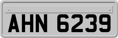 AHN6239