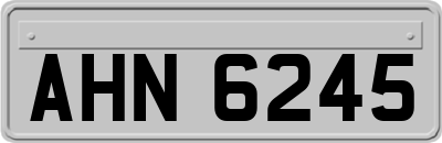 AHN6245