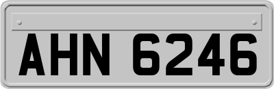 AHN6246