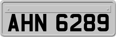 AHN6289