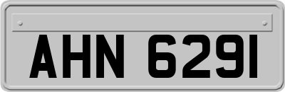 AHN6291