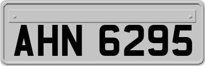 AHN6295