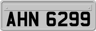 AHN6299