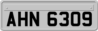 AHN6309