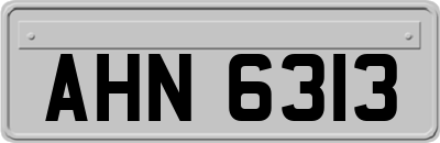 AHN6313