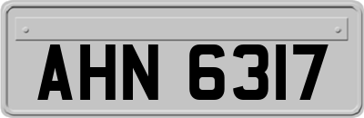 AHN6317