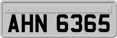 AHN6365