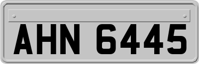 AHN6445
