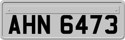 AHN6473