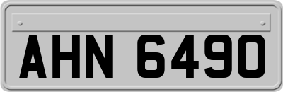 AHN6490
