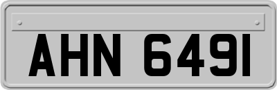 AHN6491
