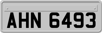 AHN6493