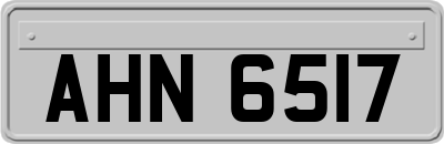 AHN6517