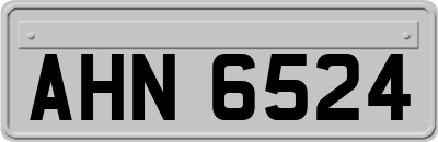 AHN6524