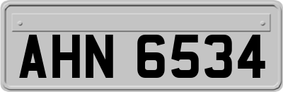 AHN6534