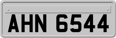 AHN6544