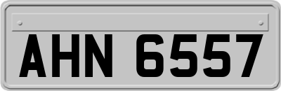 AHN6557