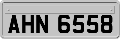 AHN6558