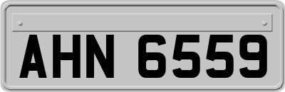AHN6559