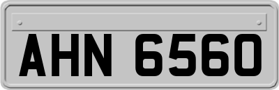 AHN6560