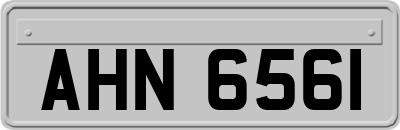 AHN6561