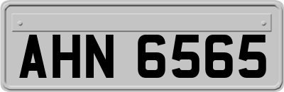 AHN6565
