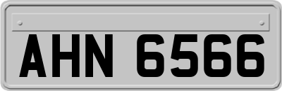 AHN6566
