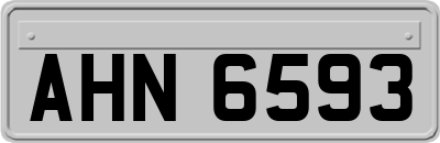 AHN6593