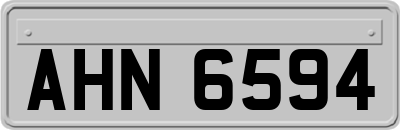 AHN6594