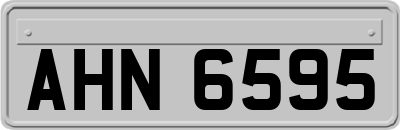 AHN6595