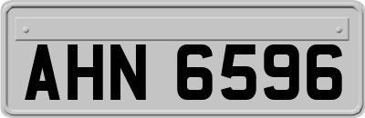 AHN6596