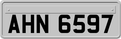 AHN6597