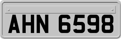 AHN6598
