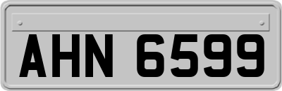 AHN6599