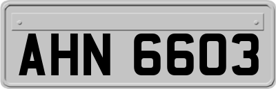 AHN6603