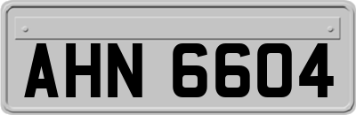 AHN6604