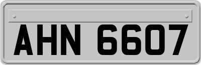 AHN6607