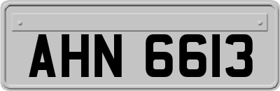 AHN6613