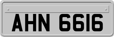 AHN6616