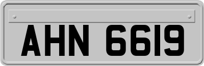 AHN6619