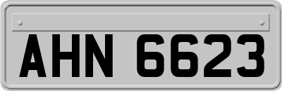 AHN6623
