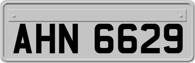 AHN6629