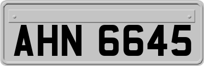 AHN6645