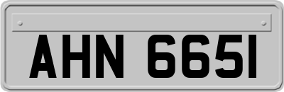 AHN6651