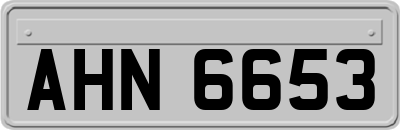 AHN6653