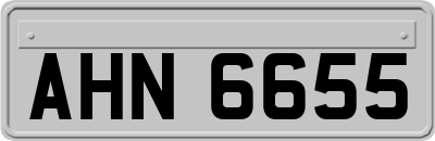 AHN6655